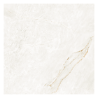 Porcelanato Marmorizado Acetinado Borda Reta Interno 120x120cm Parana Gold Portinari