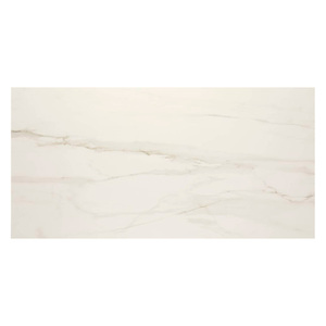 Foto de Porcelanato Marmorizado Acetinado 60x120 Charleston Natural