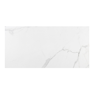 Porcelanato Marmorizado Acetinado Interno Borda Reta 60x120cm Place ...