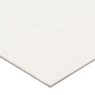 Porcelanato Interno Mármore Polido Borda Reta Twin 60x60cm Eliane