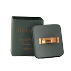 Porta Biscoitos De Aço Inoxidável Com Tampa Estilo Retrô Verd