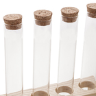 Porta Condimentos Vidro Tampa De Cortiça E Suporte 4 Peças