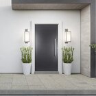 Porta De Aluminio Lambril Pivotante 220x100cm Com Puxador Abe