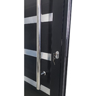 Porta De Alumínio Pivotante Preto Com Puxador, Friso E Visor