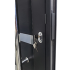 Porta De Alumínio Pivotante Preto Com Puxador, Friso E Visor