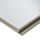 Porta Dobradiça Espelhada com Puxador Champagne 227,8x39,6cm Prime Luciane