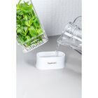 Porta Ervas De Geladeira Tramontina Organizzare 1 2 L