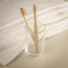 Porta Escova de Dente de Bancada para Banheiro Vidro Transparente Studio Sensea