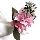 Porta Guardanapo Boca De Leão Rosa Claro  - 4 Unidades