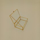 Porta Joias Vidro 5x15x10cm Transparente Decorativo Organizad