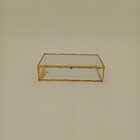 Porta Joias Vidro 5x20x12cm Transparente Decorativo