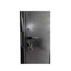 Porta Lambril Com Maçaneta Linha 25 210x70 Lado Esquerdo Preto