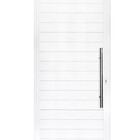 Porta Lambril Inox 2,10 X 0,90 Direita