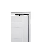 Porta Pivotante De Alumínio 210 X 100cm Com Friso E Fechadura