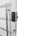 Porta Pivotante De Alumínio 210 X 100cm Com Friso E Fechadura