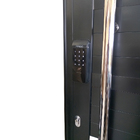 Porta Pivotante De Alumínio 210 X 120cm Com Visor E Fechadura