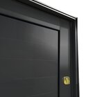 Porta Pivotante Lambril Com Puxador Lado Direito Elite 216x13