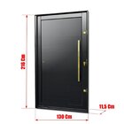 Porta Pivotante Lambril Com Puxador Lado Direito Elite 216x13
