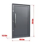 Porta Pivotante Lambril Com Puxador Lado Esquerdo Elite 216x1