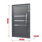 Porta Pivotante Lambril Evolution Com Puxador Elite 216x100 A