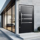 Porta Pivotante Lambril Evolution Com Puxador Elite 216x100 A