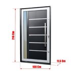 Porta Pivotante Lambril Miraggio Com Puxador Elite 216x100 Ab