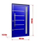 Porta Pivotante Lambril Miraggio Com Puxador Elite 216x100 Ab