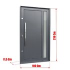 Porta Pivotante Lambril Visione Com Puxador Elite 216x100 Abe