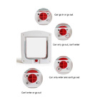 Porta Portinha De Passagem P/gato 4 Em 1 Pet Cachorro