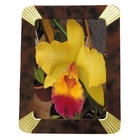 Porta-retrato 13 X 18 Cm