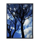 Porta Retrato Lila Preto 13x18cm