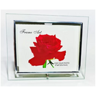 Porta Retrato Vidro Porta Foto Grande Família Quadro 20x15 Ci