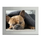 Porta-retratos Kit 3 Quadros Molduras Com Acetato - Moldura B