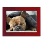 Porta-retratos Kit 3 Quadros Molduras Com Acetato - Moldura V