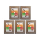 Porta-retratos Kit 5 Quadros Molduras Borda 4cm Com Acetato -