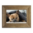 Porta-retratos Kit 5 Quadros Molduras Borda 4cm Com Acetato -