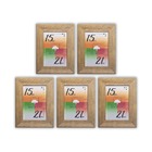 Porta-retratos Kit 5 Quadros Molduras Borda 4cm Com Acetato -