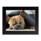 Porta-retratos Kit Com 10 Quadros Molduras Com Acetato - Mold