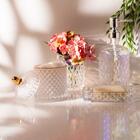 Porta Sabonete Líquido Rainbow Bico De Abacaxi Furta-cor - Wo