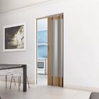 Porta Sanfonada De Pvc 210x96cm Translúcida Bcf