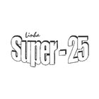 Porta Vidrão Super 25 Vidro Reflex 210cm X 80cm Brimak Abertu