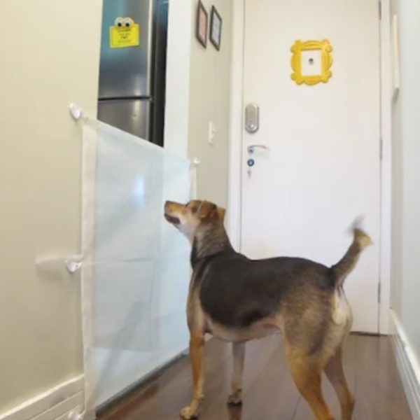 Portão Pets 80x180 Branco Poliéster Segurança Removível