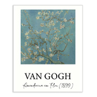 Poster 40x50 Van Gogh Amendoeira