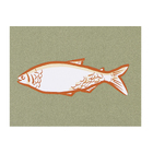 Poster Peixe 30x40cm