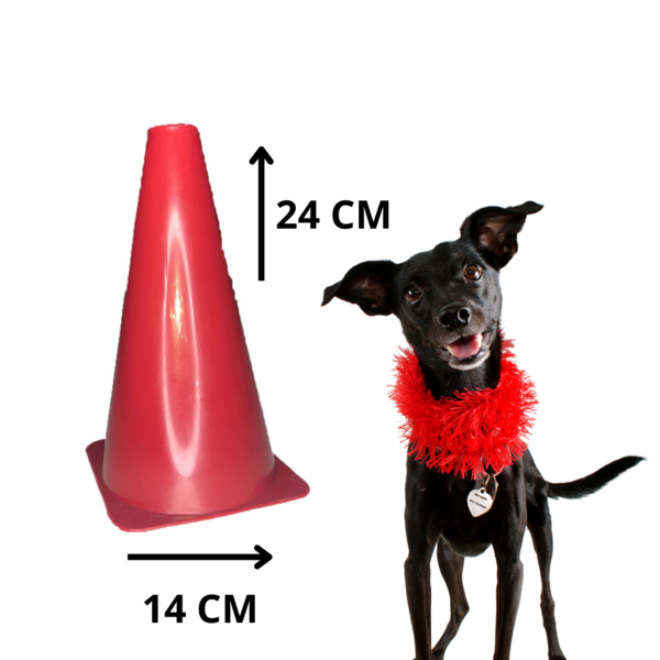 Postinho Cone Para Cachorro Educador Sanitário Pequeno