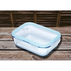 Pote Hermético De Vidro Borossilicato Transparente C/tampa Pl