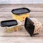 Pote Plástico Conect Dec 900ml