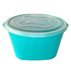 Pote Plástico Free Bpa Multi Uso Vasilha 10l Azul An0920