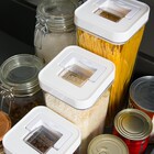 Pote Transparente Empilhável 1L Delinia