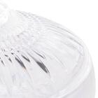 Potiche Decorativo Cristal Com Pe Queen 14x22cm Wolff 28000